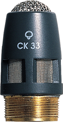 CK33 (초지향)