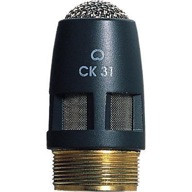 CK31 (단일지향)